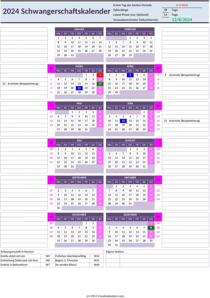 schwangerschaftskalender-fuer-eine-gut-organisierte-schwangerschaft