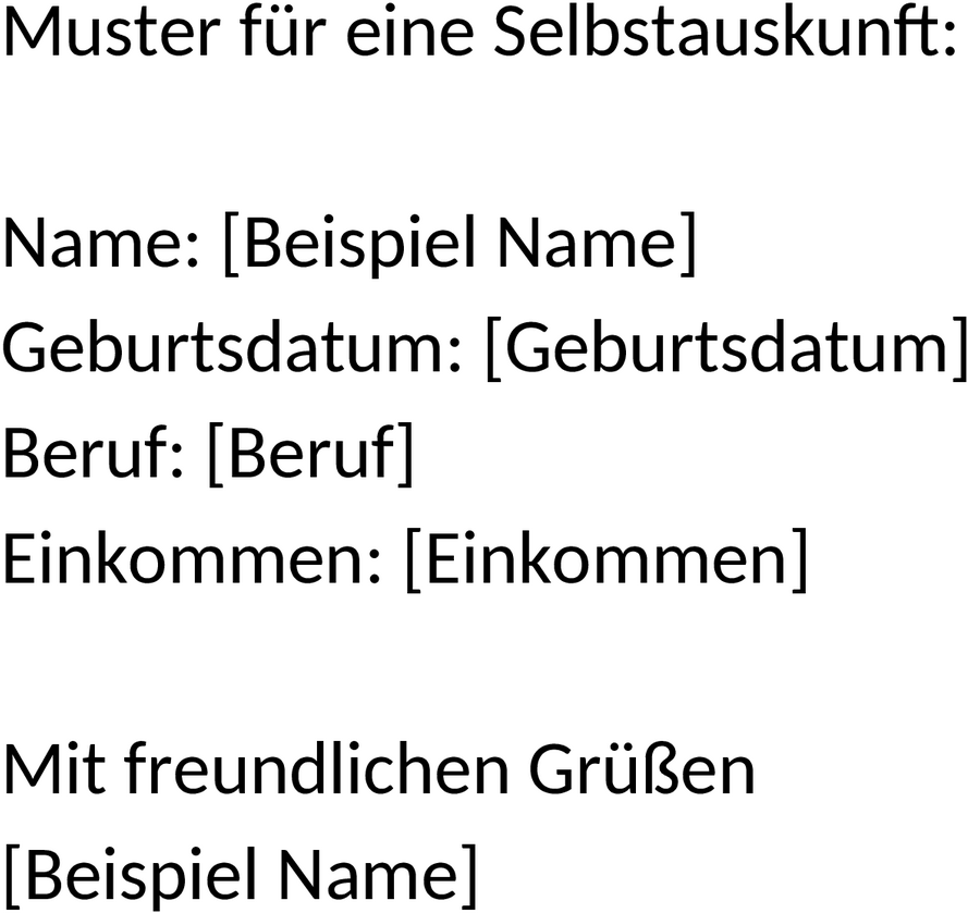 Selbstauskunft Kredit Word-Datei