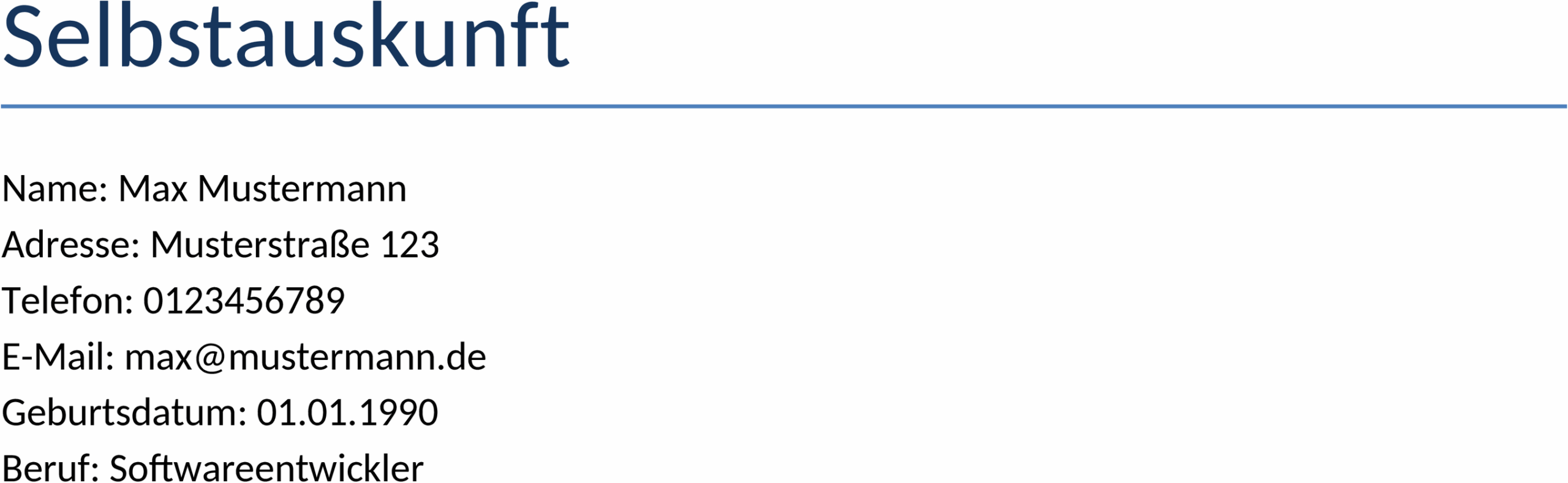 Selbstauskunft Word-Dokument für Vielseitige Anwendungen