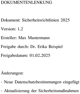 sicherheitsrichtlinien-2025-vorlage-zur-dokumentation
