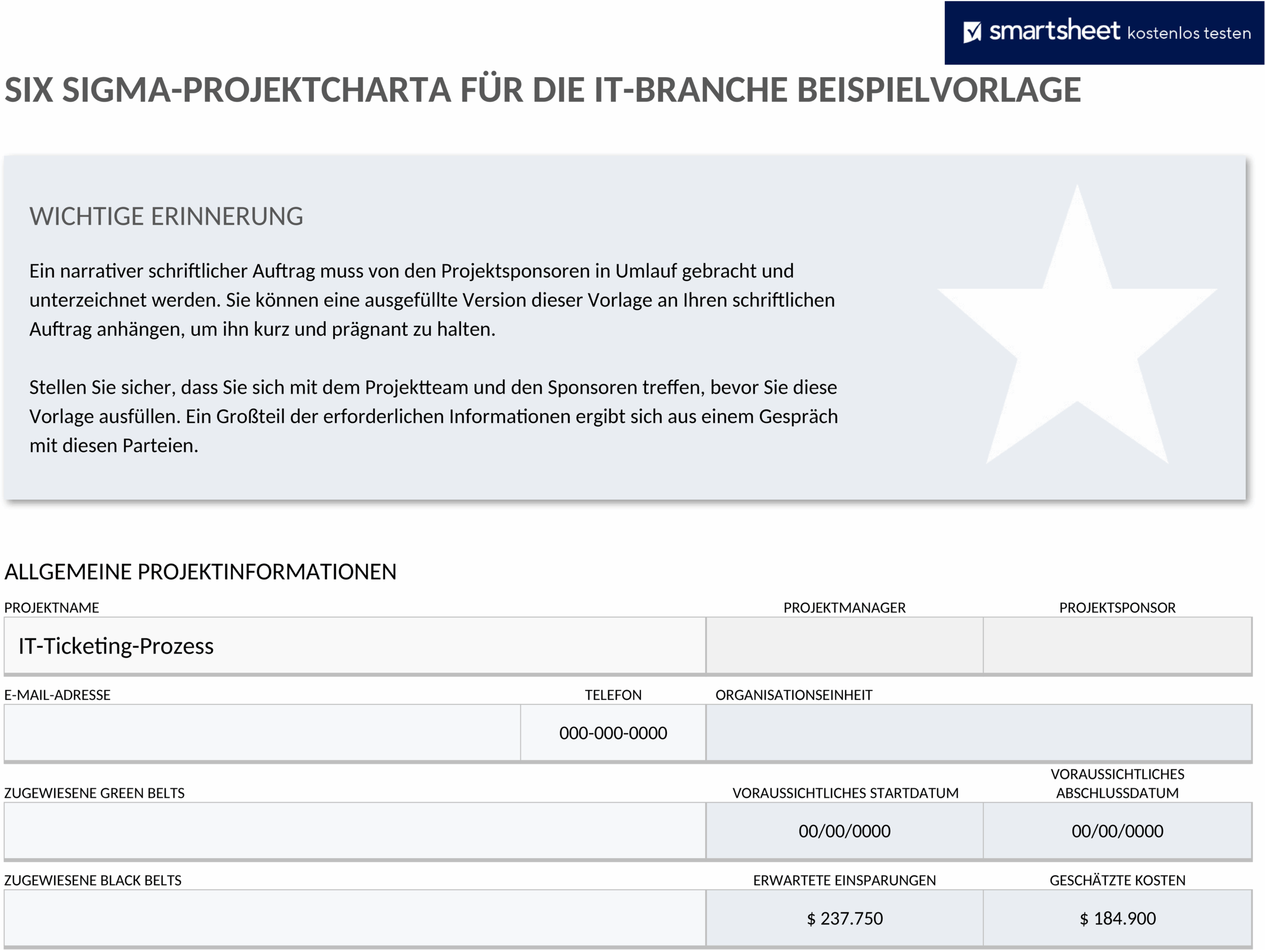 Six Sigma Projekt-Charta Vorlage