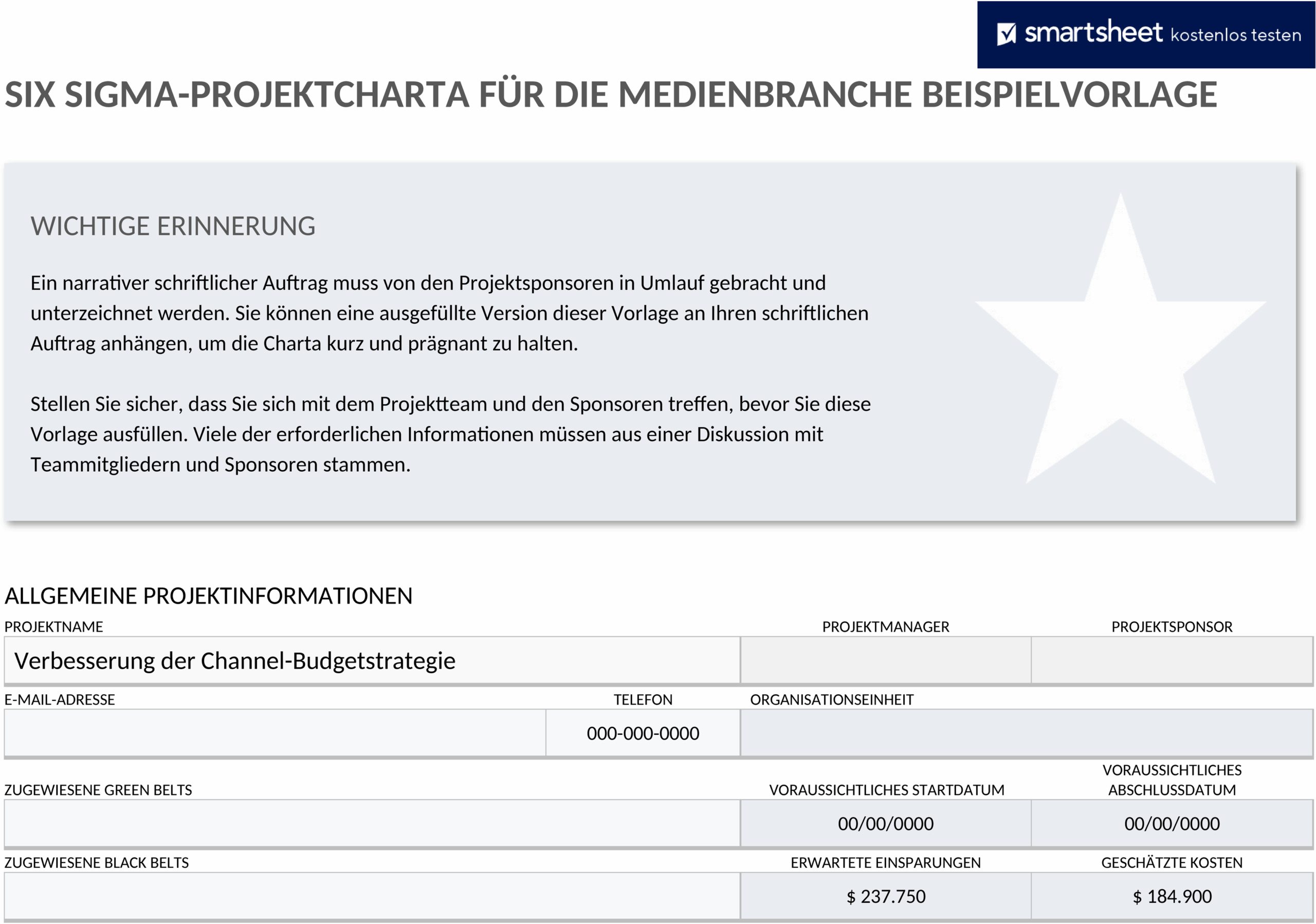 six-sigma-projekt-charter-beispiel.png