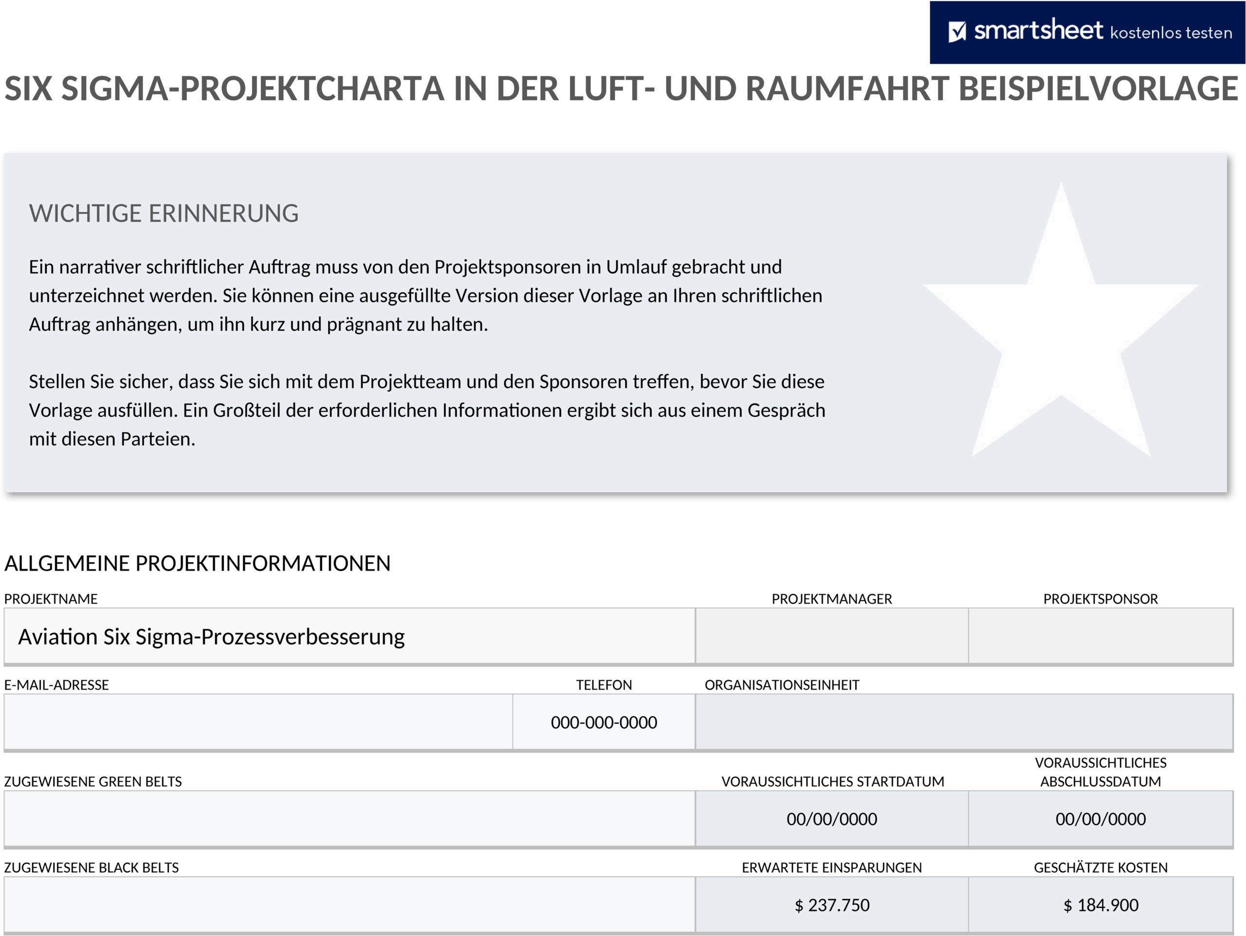 six-sigma-projekt-charter-beispiel-word-de.png