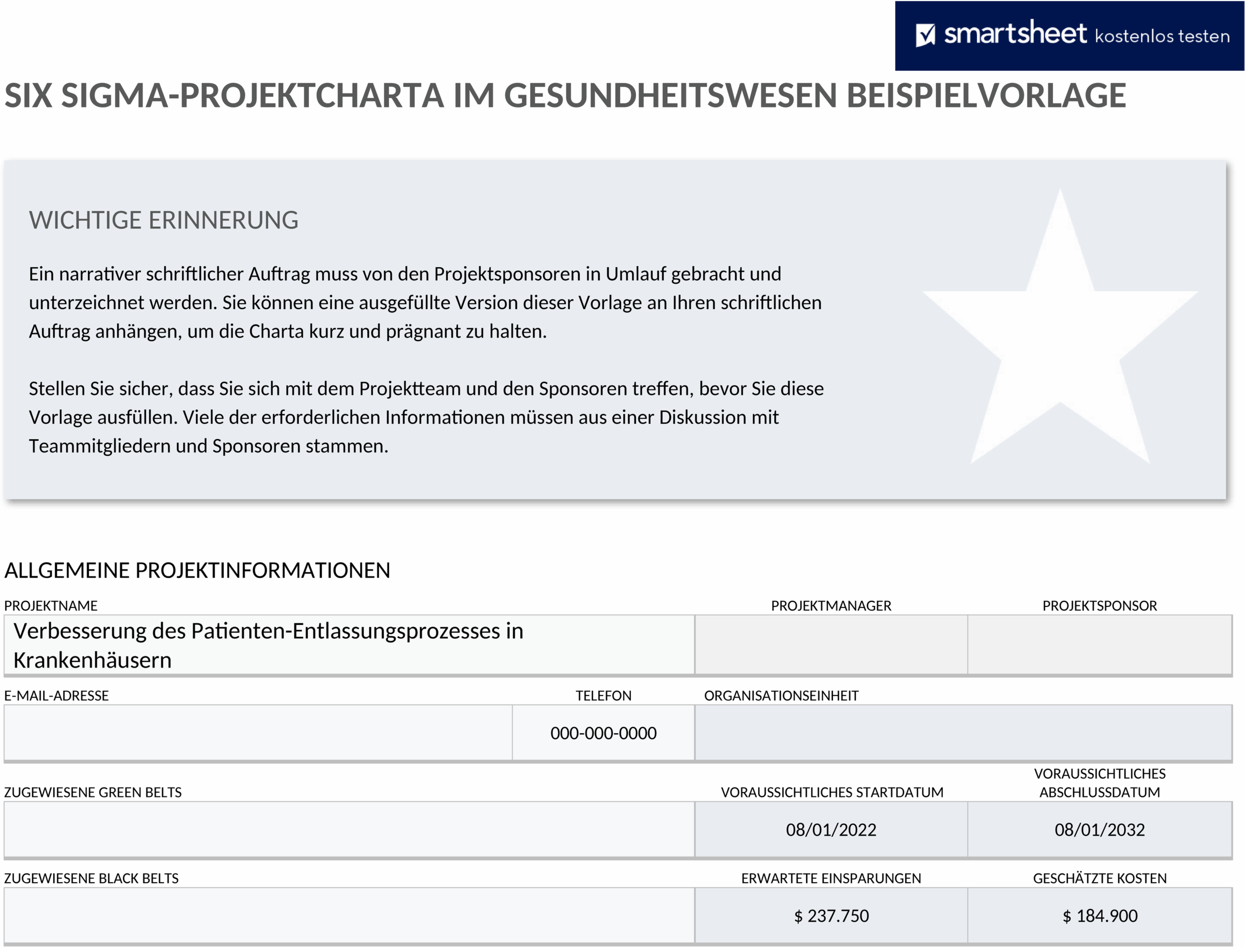 Word-Dokument Six Sigma Projekt Charter Beispiel