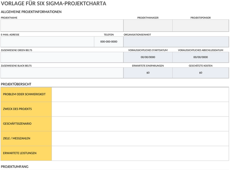 six-sigma-projekt-charter-leer-11480.png