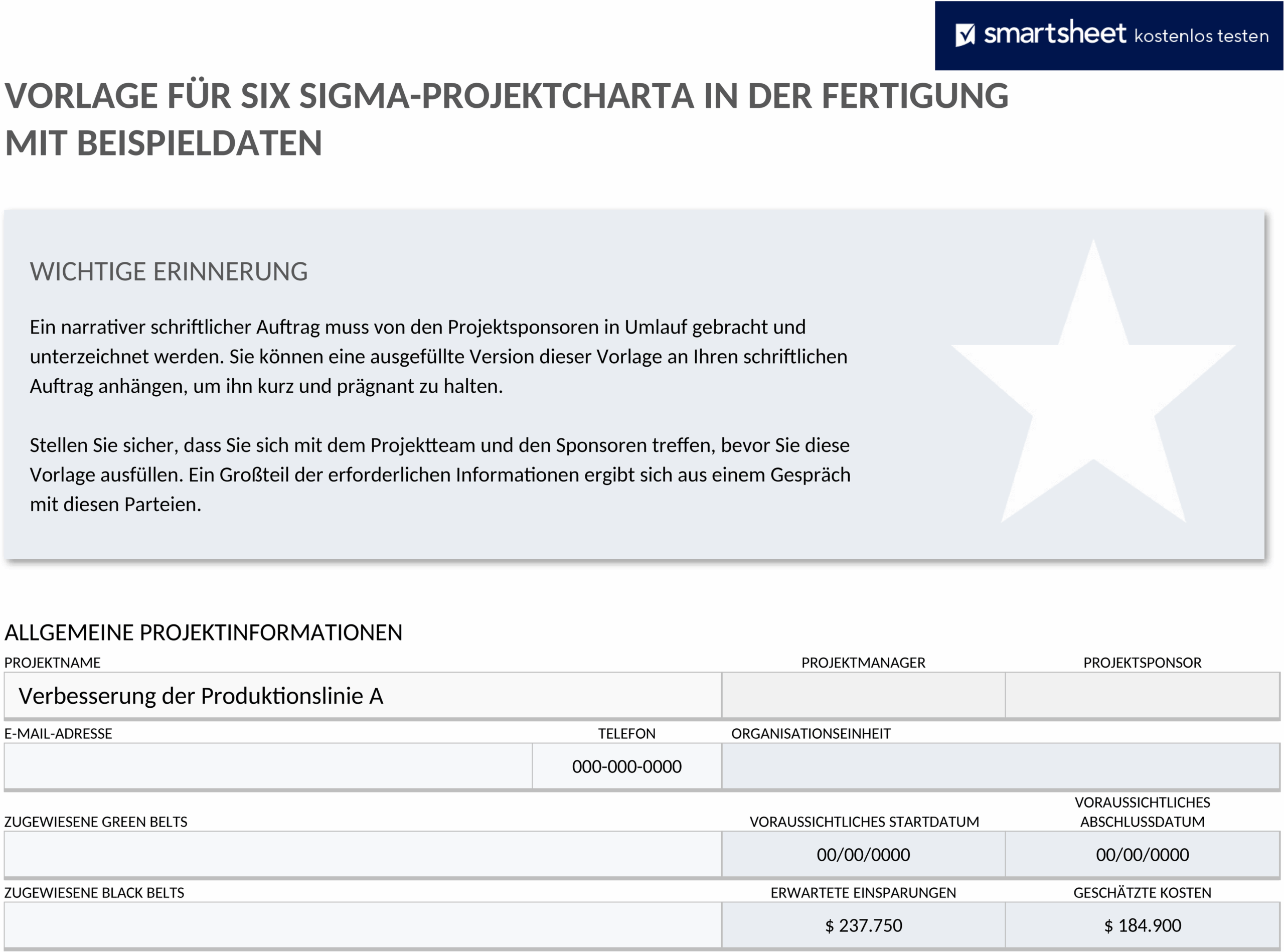 six-sigma-projekt-charter-vorlage.png
