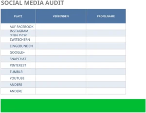 social-media-audit-vorlage-excel
