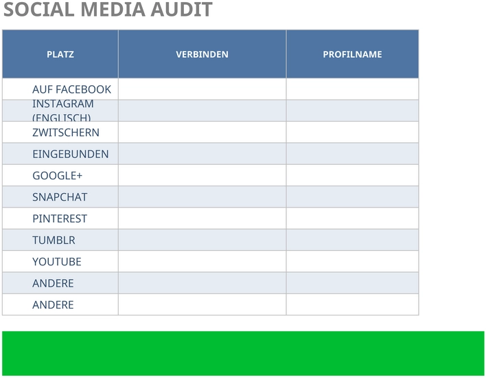 social-media-audit-vorlage-excel