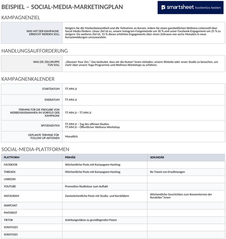 social-media-marketing-aktionsplan-beispiel.png