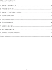 software-project-closure-report-vorlage