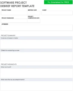 software-project-debrief-report-vorlage