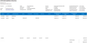 spesenabrechnung-vorlage-fuer-deine-finanzielle-organisation