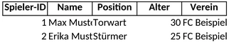 spieler-verwaltung-fussball.png