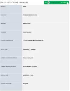 startup-executive-summary-pdf-vorlage