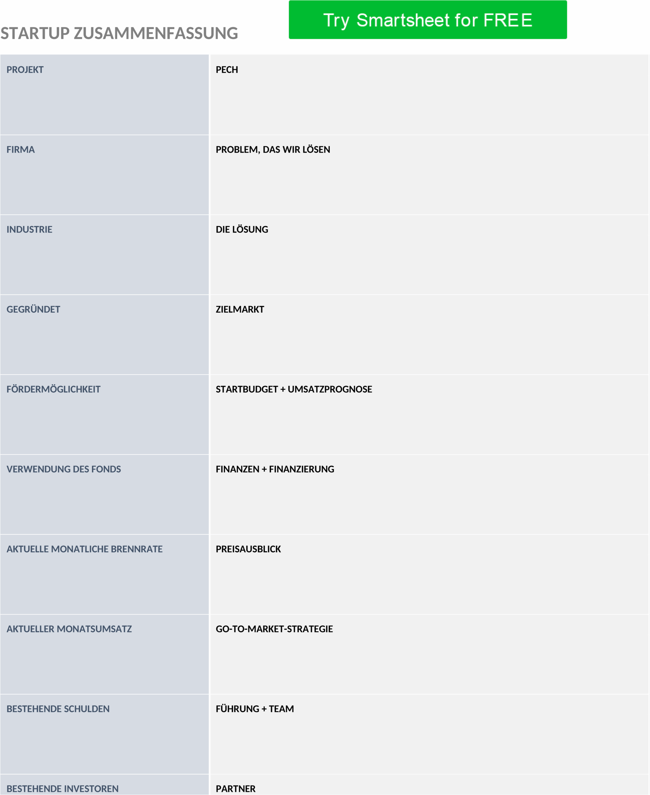 Word-Vorlage für Startup Executive Summary