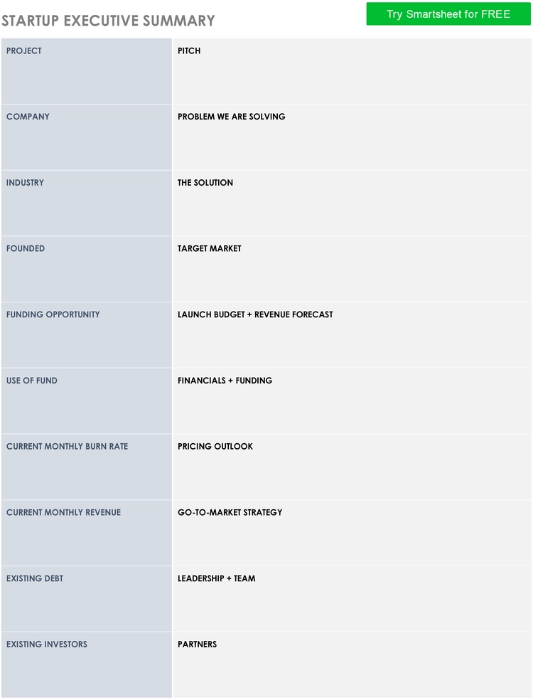 startup-executive-summary-vorlage.png