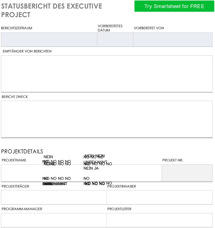 statusbericht-executive-project-vorlage