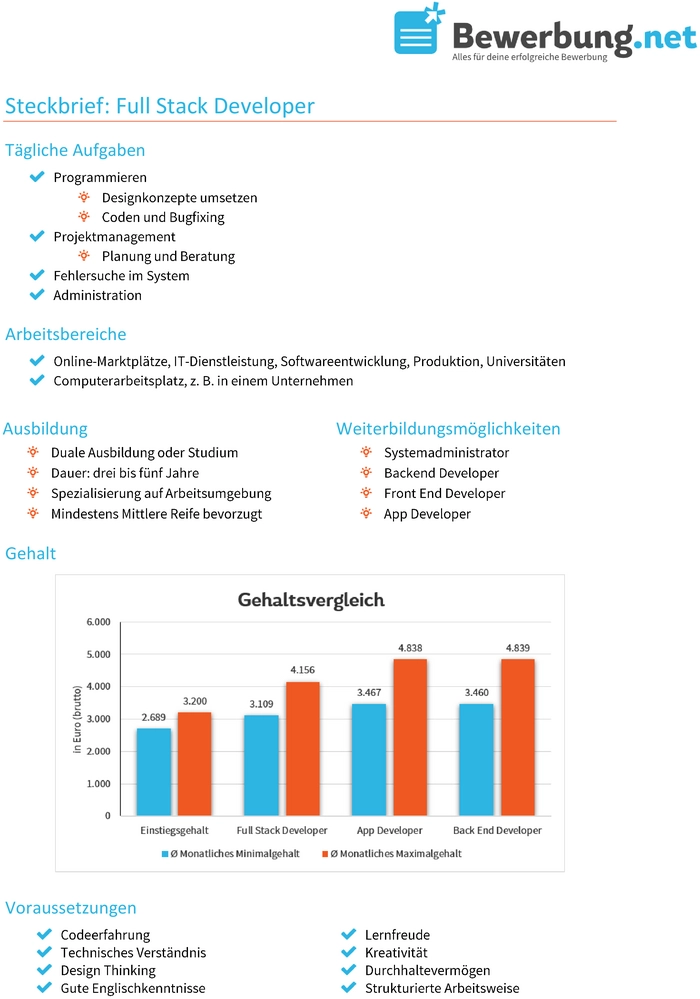 steckbrief-full-stack-developer-vorlage