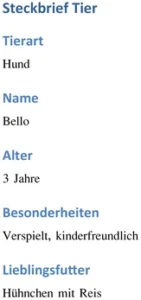 steckbrief-hund-bello-alles-wichtige-auf-einen-blick