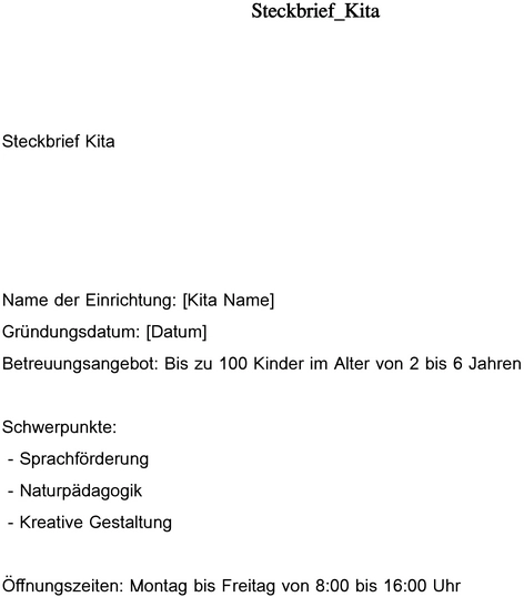 steckbrief-kita-vorlage-ueberblick