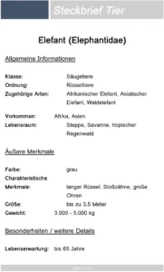 steckbrief-tier-elefant-vorlage