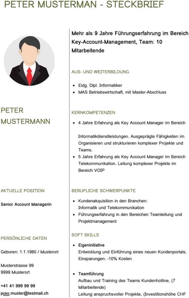 steckbrief-vorlage-fuer-berufseinstieg-und-karriere