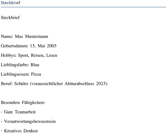 steckbrief-vorlage-persoenliche-praesentation