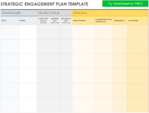 strategic-engagement-plan-vorlage