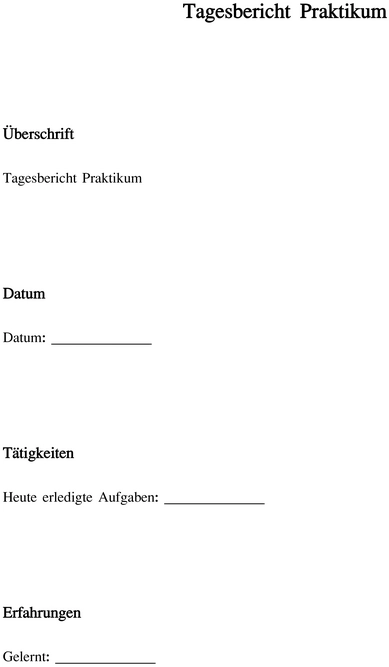 tagesbericht-praktikum-vorlage