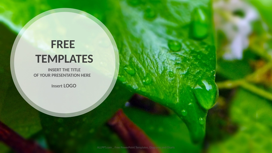 tautropfen-auf-gruenem-blatt-natur-ppt-vorlagen-widescreen.png