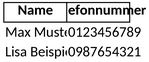 telefonliste-geschaeft.png