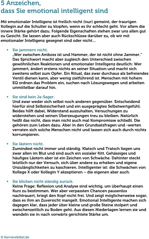 test-emotionale-intelligenz-analyse.png