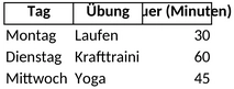 trainingsplan-excel-vorlage.png