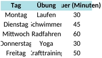 trainingsplan-fitness-excel.png