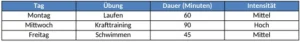 trainingsplan-fuer-sport-und-fitness