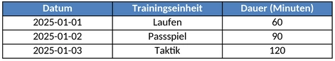 trainingsplan-sport-und-fitness-vorlage