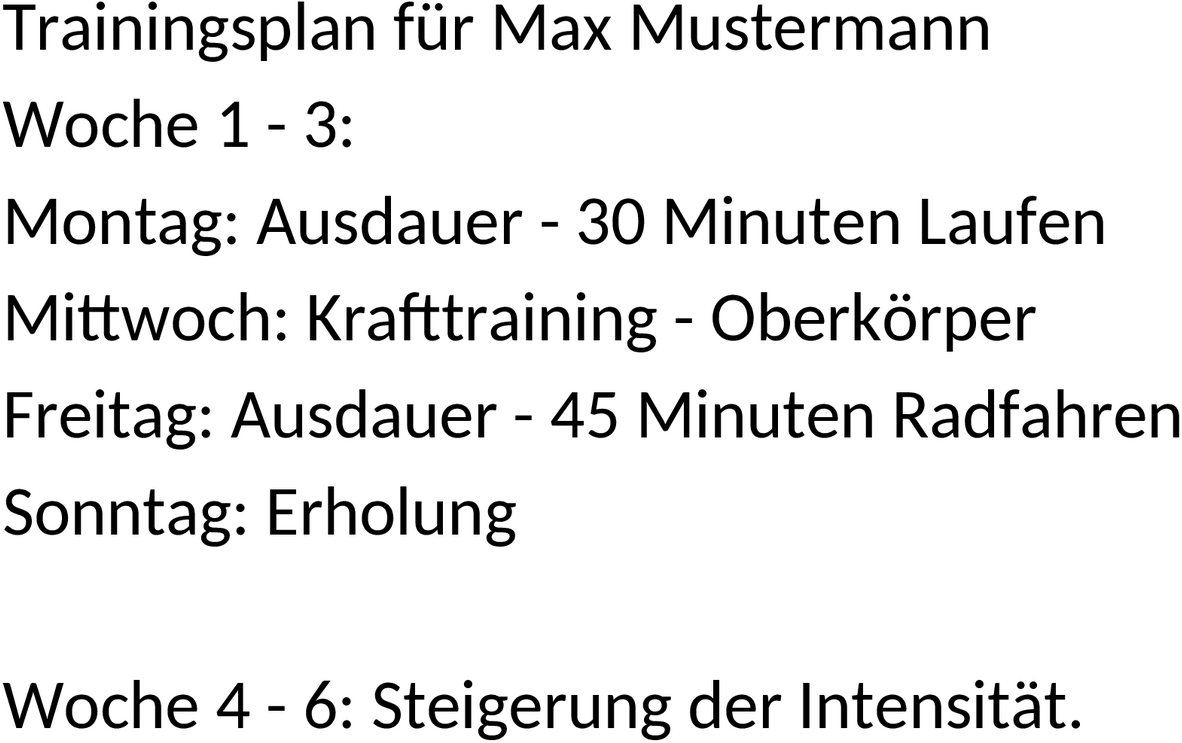 Trainingsplan im Word-Format