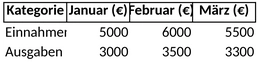 unternehmensbudget.png