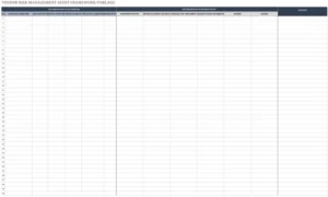 vendor-risk-management-audit-framework-vorlage