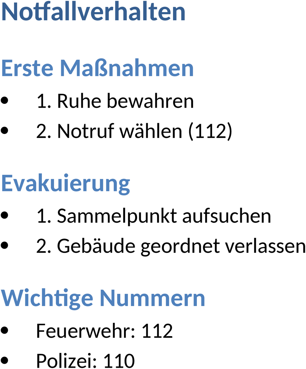 Word-Vorlage Verhalten im Notfall