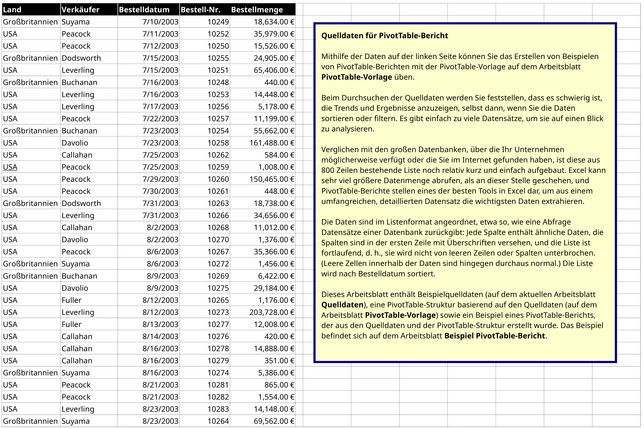verkaufsdatenanalyse-mit-pivot-table-vorlage
