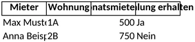 verwaltung-von-mieteinnahmen-und-mieterdaten