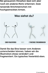 vexierbild-visualisierung-wahrnehmung-anwendungen