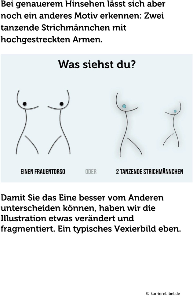 vexierbild-visualisierung-wahrnehmung-anwendungen