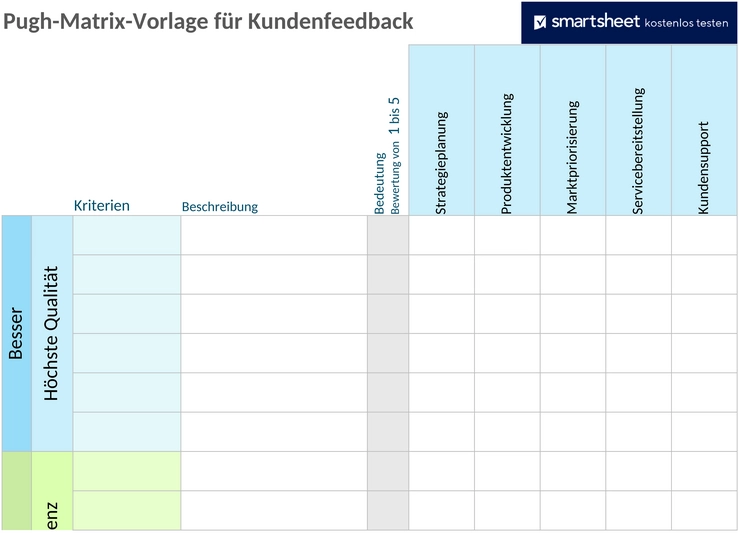 voice-of-customer-pugh-matrix-template.png