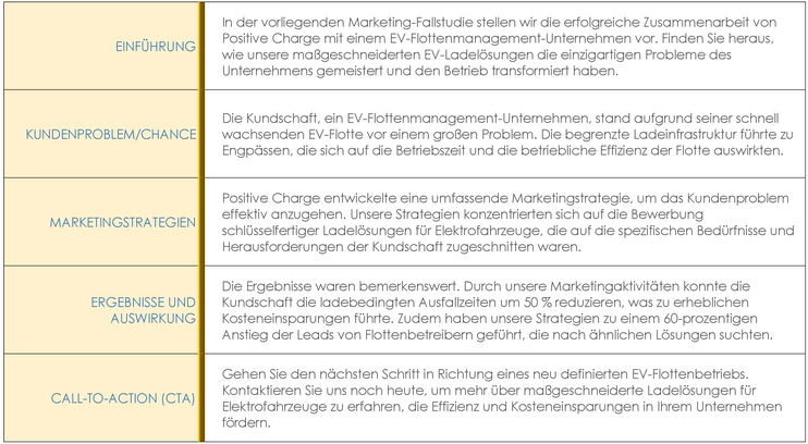 vorlage-fallstudie-ladeloesungen-elektroflotten