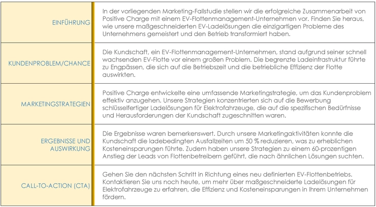 vorlage-fallstudie-marketing-elektroflotten