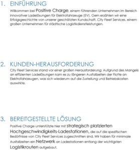 vorlage-fallstudien-erfahrungsberichten-unternehmensorganisation