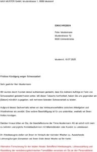 vorlage-fristlose-kuendigung-wegen-schwarzarbeit