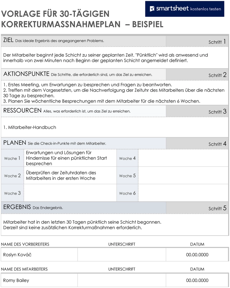 vorlage-fuer-30-taegigen-korrekturmassnahmenplan